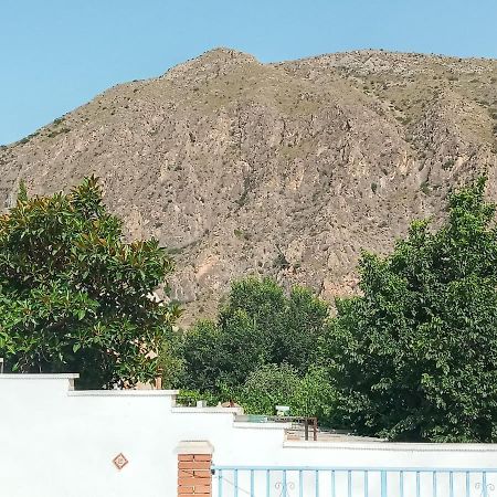 لقنت Recovery Mountain Homestay المظهر الخارجي الصورة