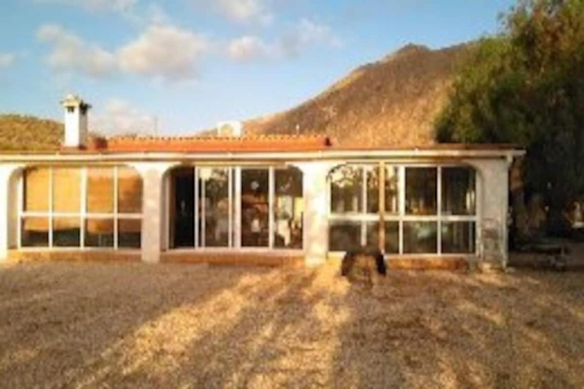 لقنت Recovery Mountain Homestay المظهر الخارجي الصورة
