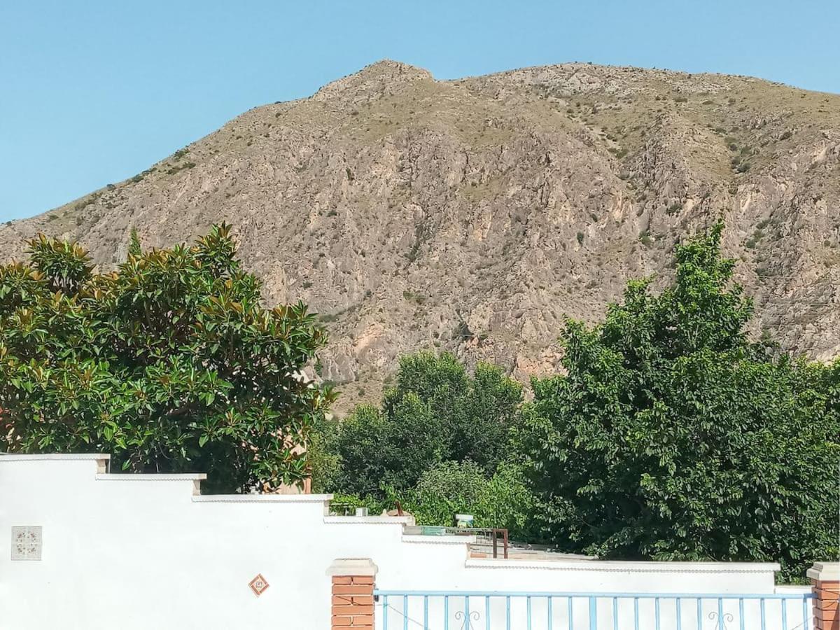 لقنت Recovery Mountain Homestay المظهر الخارجي الصورة